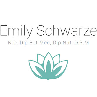 Emily Schwarze - Alternative Logo Design